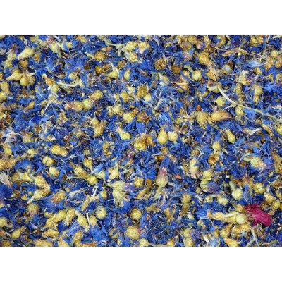 Cornflowers - Blue Premium Grade Cornflowers - Blue Premium Grade