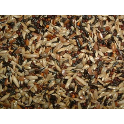 Goldfinch and Siskin