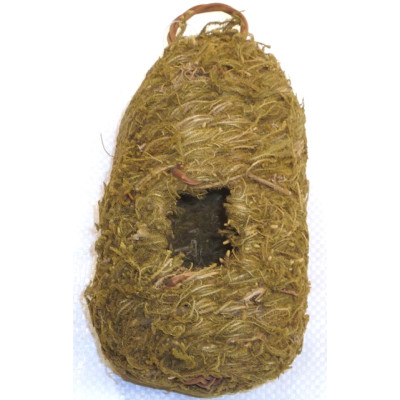 Moss and Bamboo House