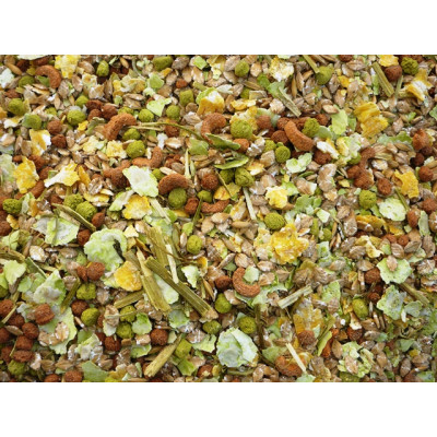 Special Rabbit - Mr. Johnsons