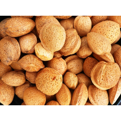 Almond - Semi Hard Shell