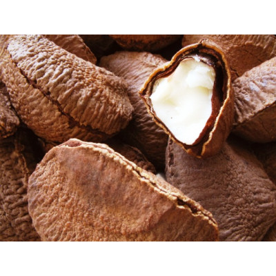 Brazil Nuts Brazil Nuts