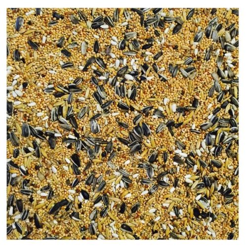 Small Parakeet Mixture