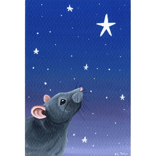 Christmas Card - Bright Star