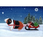 Christmas Card -  Guinea Pig 