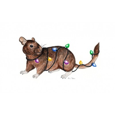 Christmas Card - Degu Christmas Card - Degu