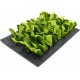 Snuffle Mat - Small Snuffle Mat - Small