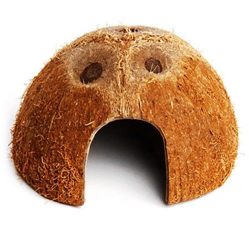 Coconut Shell Den