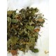 Degu SAB Leaf and Plant Special Mix Degu SAB Leaf and Plant Special Mix