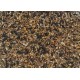 Wild Bird Mix - Original