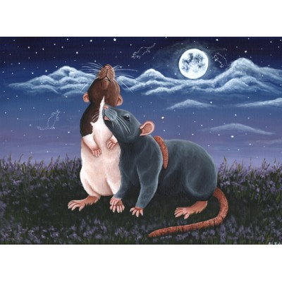 Love In The Moonlight Love In The Moonlight