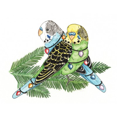 Christmas Card -  Fairy Lights Budgie
