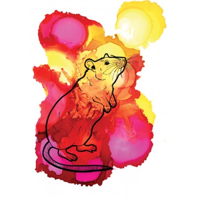 Ink Colour - Pinks Ink Colour - Pinks