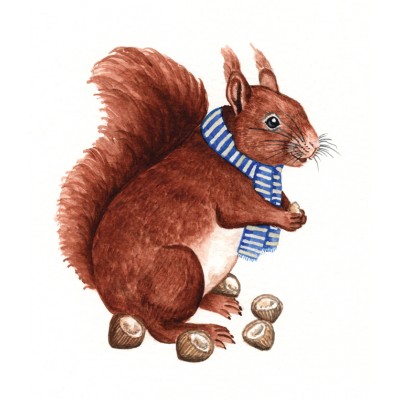 Red Squirrel Red Squirrel