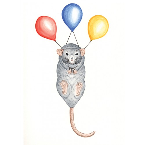 Up Up and Away Balloons