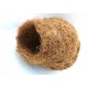 Coco Cave