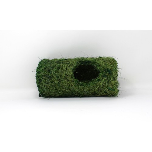 Coco Tunnel - Forest Green