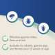 Dimethicare - 3 Spot On Treatments 
