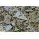 Blackcurrant Leaves - Dried