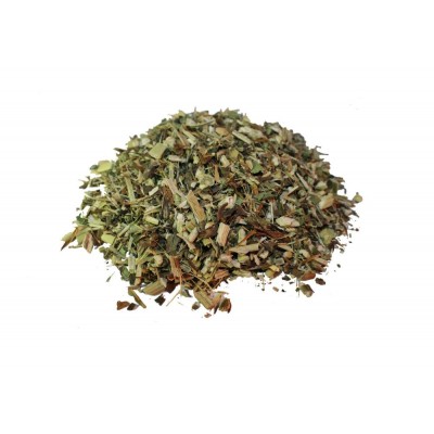 Echinacea - Fine Cut Plant