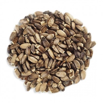 Milk Thistle Seed Milk Thistle Seed