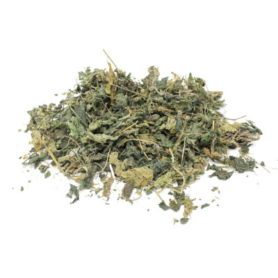 Nettle Leaves and Plant