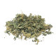 Nettle Leaves and Plant
