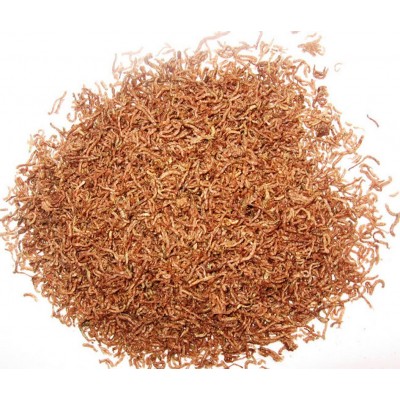 Bloodworms - Dried Bloodworms - Dried