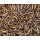 Calci Worms - Dried Calci Worms - Dried