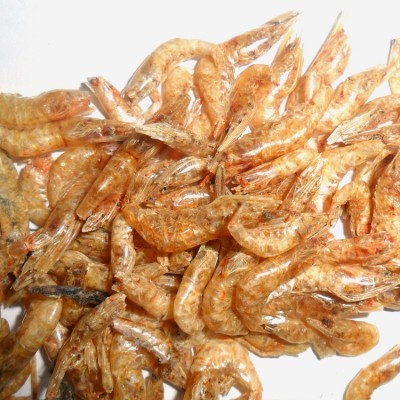 Shrimp - River Shrimp - River