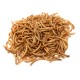Mealworms - Dried Mealworms - Dried