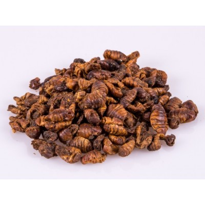 Silkworm Pupae - Dried Silkworm Pupae - Dried