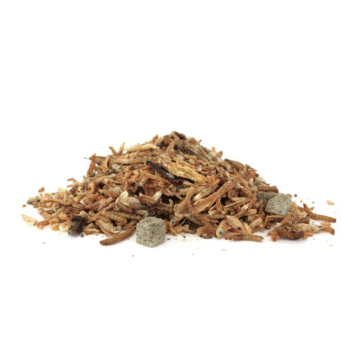 Surf and Turf - Mixed Bugs