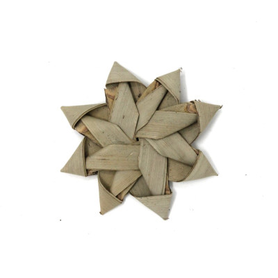 Palm Leaf Sun