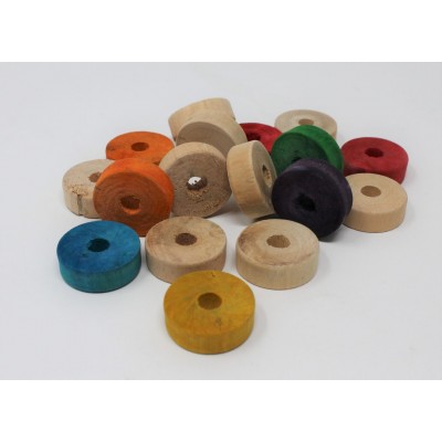 Pine Coin - Round Slices