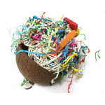 Coconut Shell - Forager