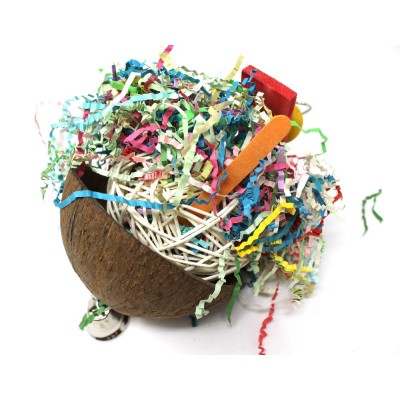 Coconut Shell - Forager Coconut Shell - Forager