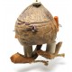 Coconut Robot