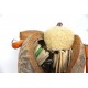 Coconut Robot