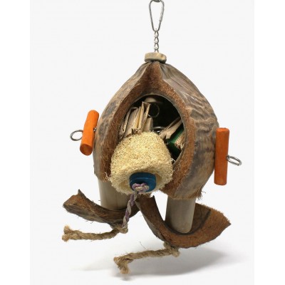Coconut Robot