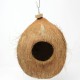 Coconut - Ready to Fill