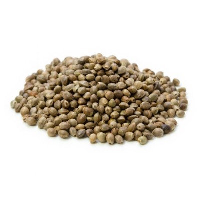 Hemp Seed