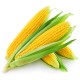 Maize - Cut (Grits)