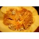 Pumpkin Seed