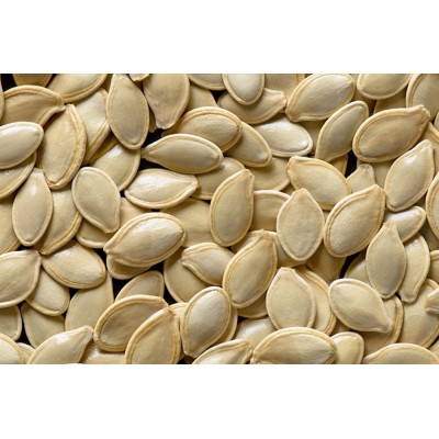 Pumpkin Seed