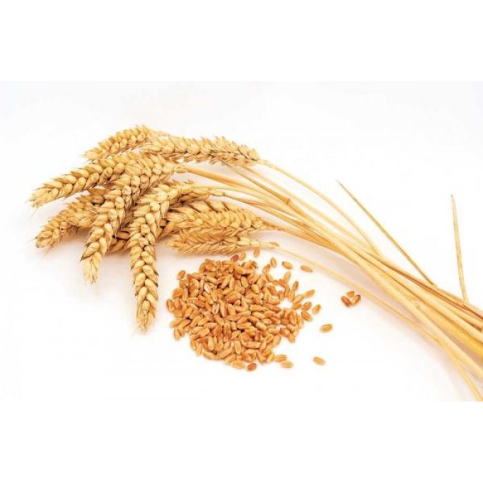 Wheat Whole