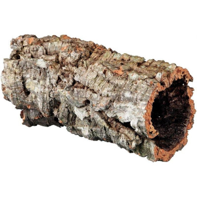 Cork Tunnel Cork Tunnel