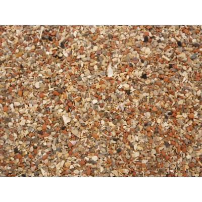 Coral and Grit Coral and Grit