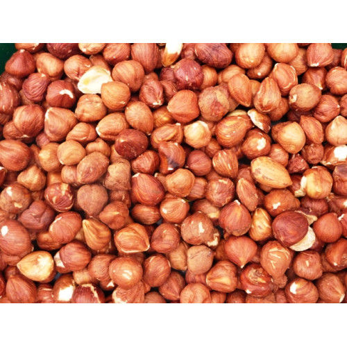 Hazelnut (Filbert) Kernels