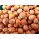 Hazelnuts - in shell